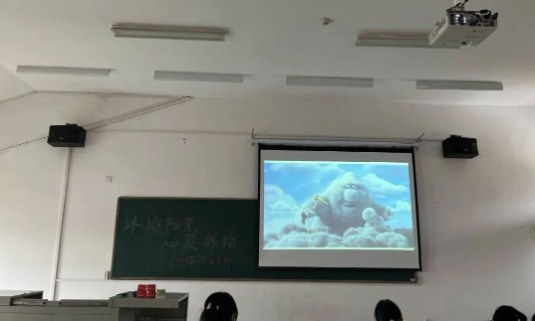 27317